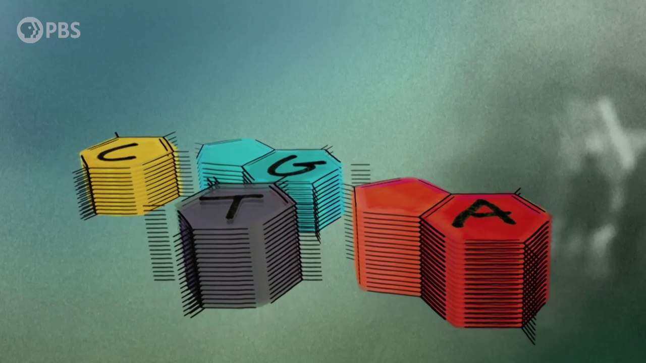 IR Interview: Dr. Siddhartha Mukherjee For "The Gene" - Part I [PBS]