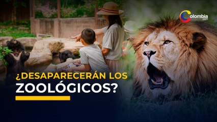 Zoológicos colombianos viven su propia crisis por COVID-19