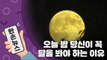 [15초뉴스] 오늘 밤, 당신이 꼭 달을 봐야 하는 이유 / YTN