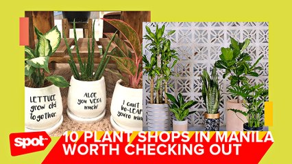 10 Plant Shops Every Plantita Should Check Out