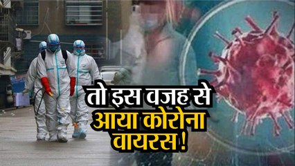 Corona virus alert  तो इस वजह से आया कोरोना वायरस, सामने आया ये कारण