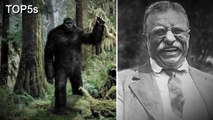 5 Most Believable Sightings, Stories and Encounters with Bigfoot