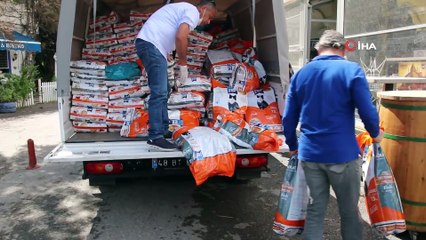 Bodrum’da Sokak Hayvanlarına 11 Bin Kilo Mama Dağıtıldı