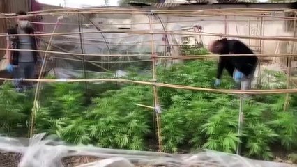 Uyuşturucu operasyonları: 2 gözaltı