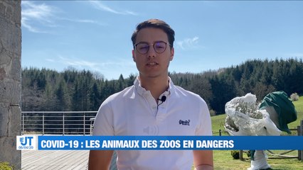 COVID 19 : Les zoos prennent des mesures
