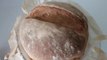 Evde Ekmek Nasıl Yapılır? Ayrıntılarıyla tarifini veriyorum. Ekmek Fırınlarındaki gibi ekmek yaparken yaş maya kullandım. Beyazlatıcı yok, sağlıklı ve lezzetli ekmek oldu.