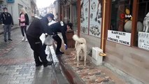 Polisler sokak hayvanlarını elleriyle besledi