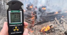 Un feu de forêt autour de la centrale nucléaire de Tchernobyl fait monter la radioactivité