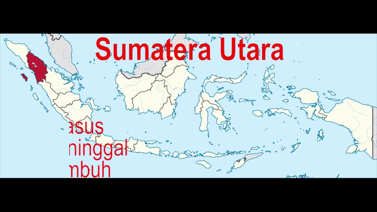 Update Terbaru Kasus Corona ( Covid-19 ) di Indonesia, 2.738 Positif 221 Meninggal dan 204 Sembuh