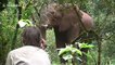 Biologist stands his ground against wild African Elephant in Kenya