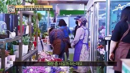 대형마트 안에 있는 갑부의 꽃집! 꽃 종류만 200여 종...?