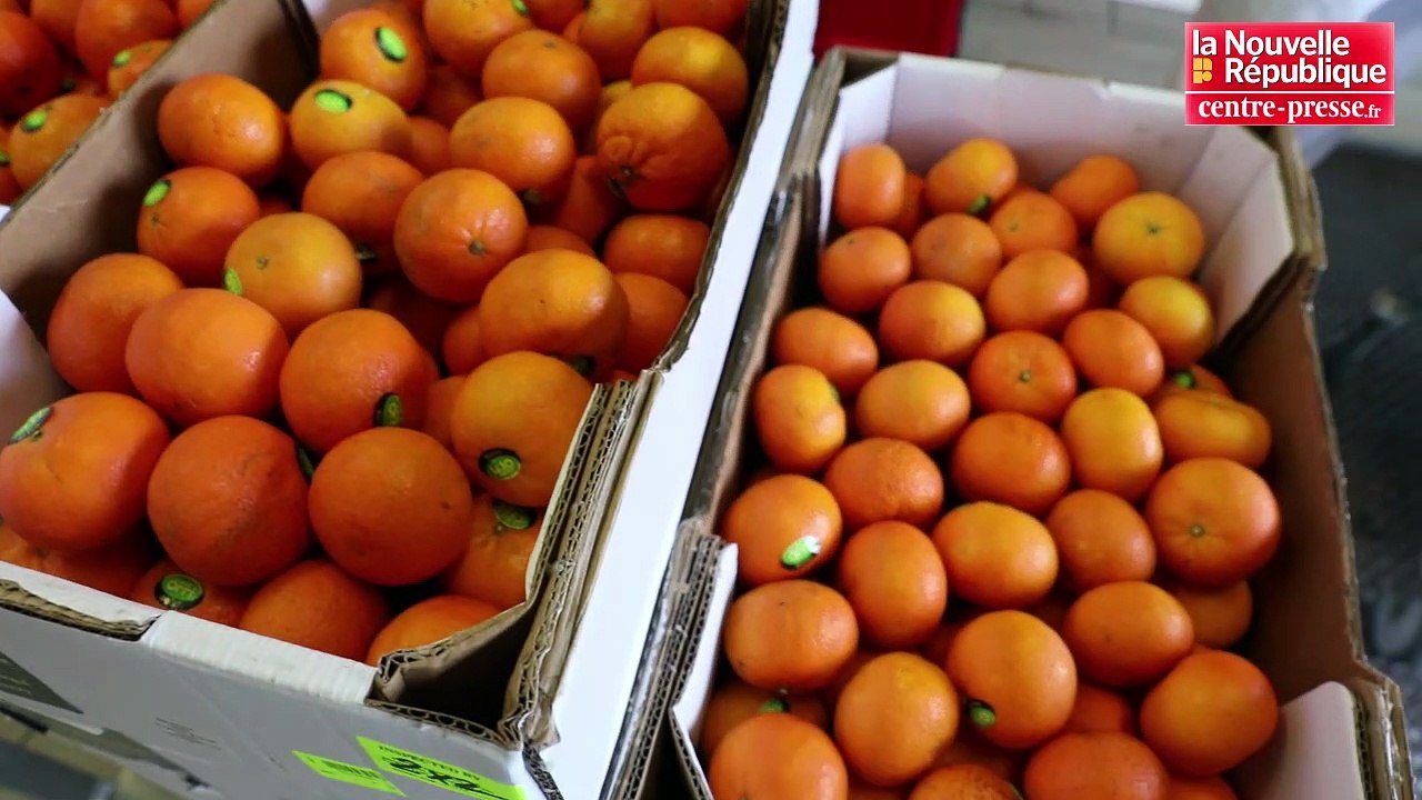 VIDEO. Poitiers : de la vitamine C pour le CHU