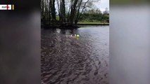Man Swims Out Into Lake To Save Drowning Bird Tangled In Fishing Wire