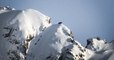 Dans les Pyrénées, un photographe immortalise la promenade d'un ours sur une crête enneigée