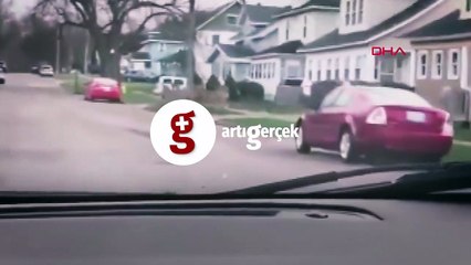 ABD sokaklarında geyik sürüsü görüntülendi