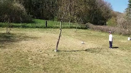 Défi réalisé par Noah U11