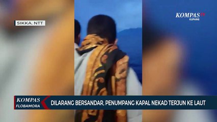 Dilarang Bersandar, Penumpang KM Lambelu Nekad Terjun Ke Laut