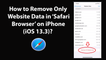 How to Remove Only Website Data in Safari Browser on iPhone (iOS 13.3)?