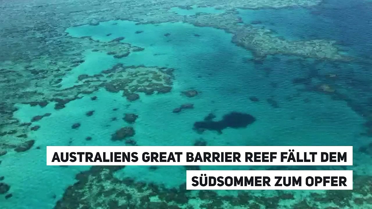 Australiens Great Barrier Reef fällt dem Südsommer zum Opfer