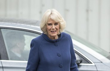 Duquesa Camilla sentiu falta de abraçar netos durante isolamento