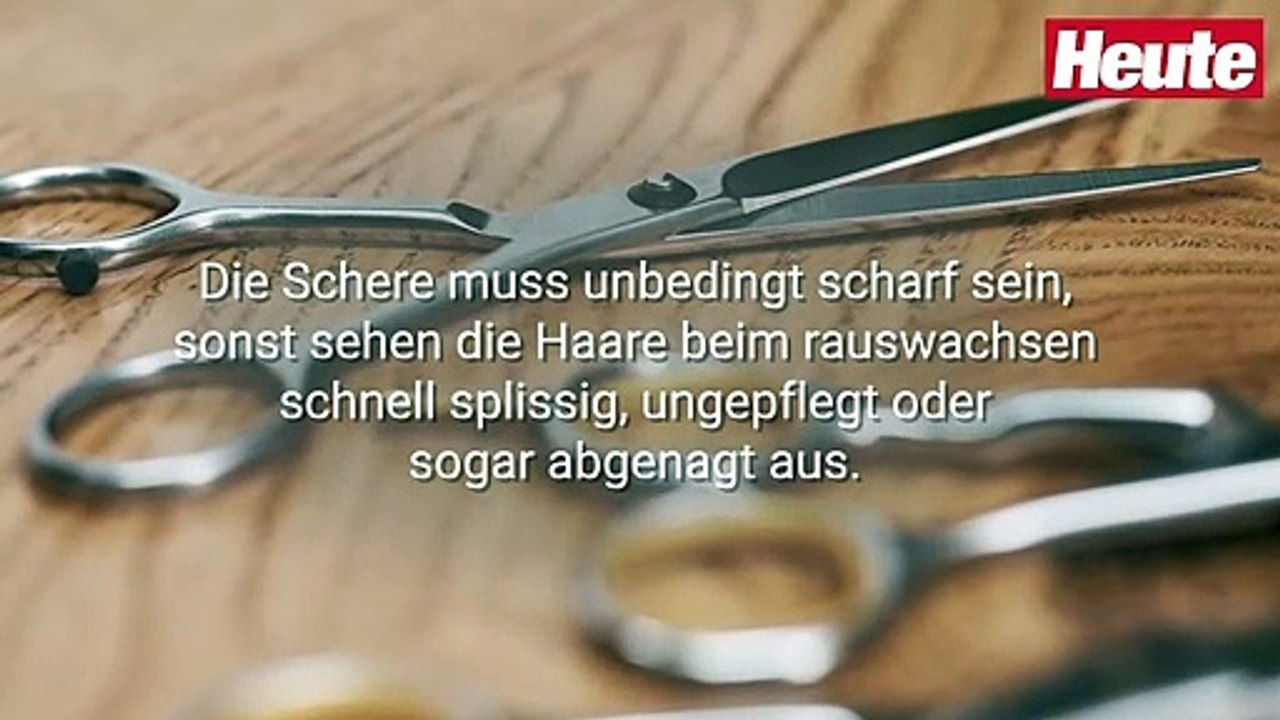 Beauty-SOS: So gelingt der Männer-Haarschnitt