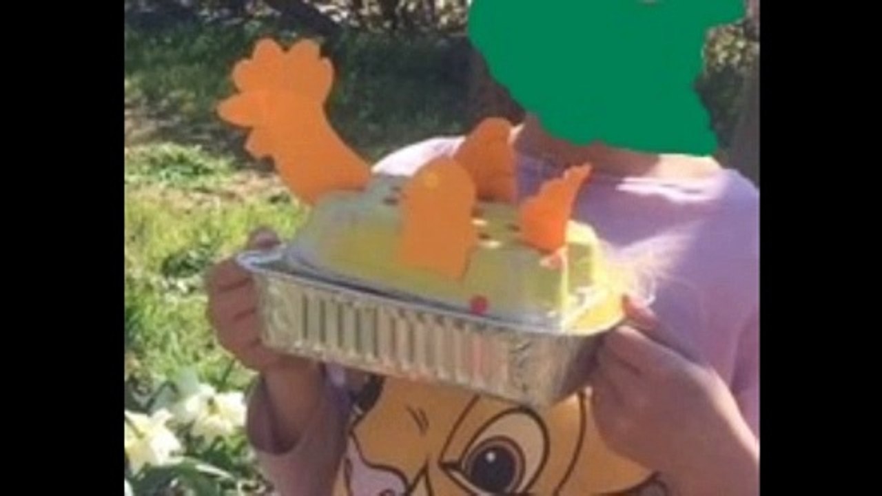 Défi artistique poules du Petit Mont - Strazeele