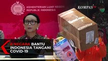 8 Negara Bersedia Bantu Indonesia Tangani Virus Corona