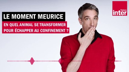 En quel animal se transformer pour échapper au confinement ? Le moment Meurice