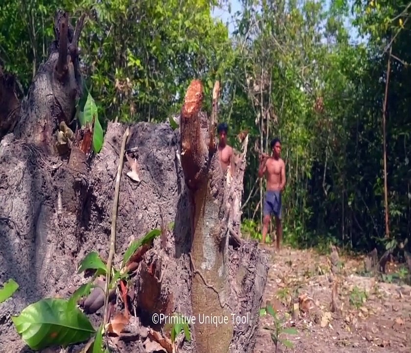 Amazing Building Skills- Build The Most Beautiful Underground Swimming Pool and Underground House