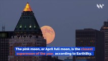 Super Pink Moon to Light Up Sky on April 7