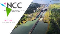 Noticiero Científico y Cultural Iberoamericano, emisión 229. 13 al 19 de Abril 2020