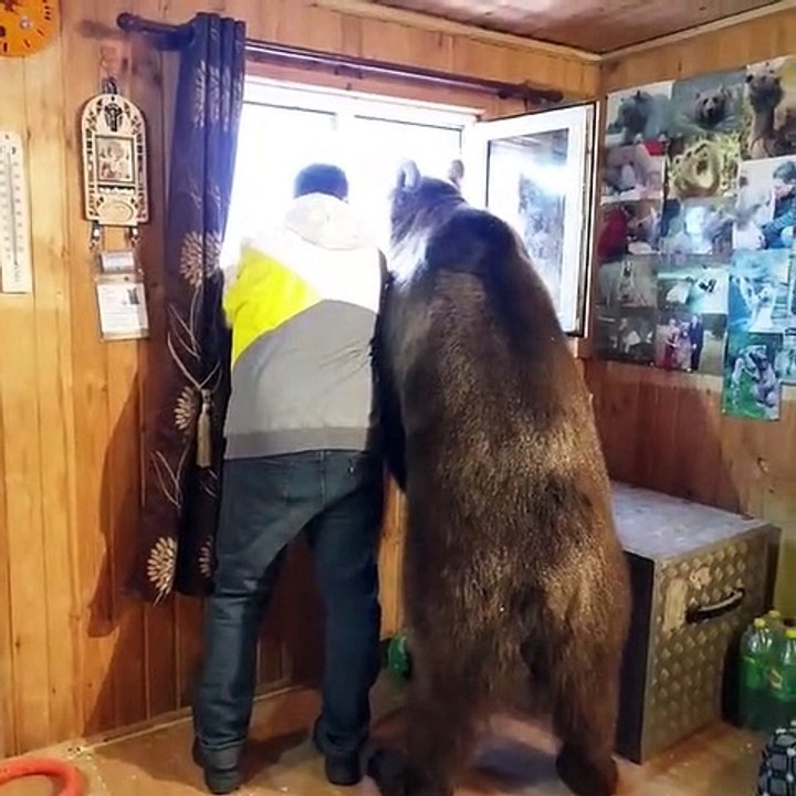 Big Ole Bear Wants a Hug