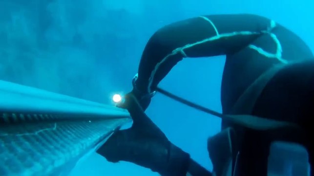 Zıpkınla Sinarit Avı 3 KG - Spearfishing Dentex