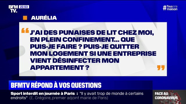 J'ai des punaises de lit chez moi. Puis-je quitter mon logement ? BFMTV répond à vos questions