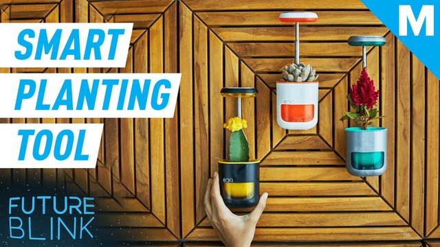 This smart planter is designed to make gardening easier — Future Blink