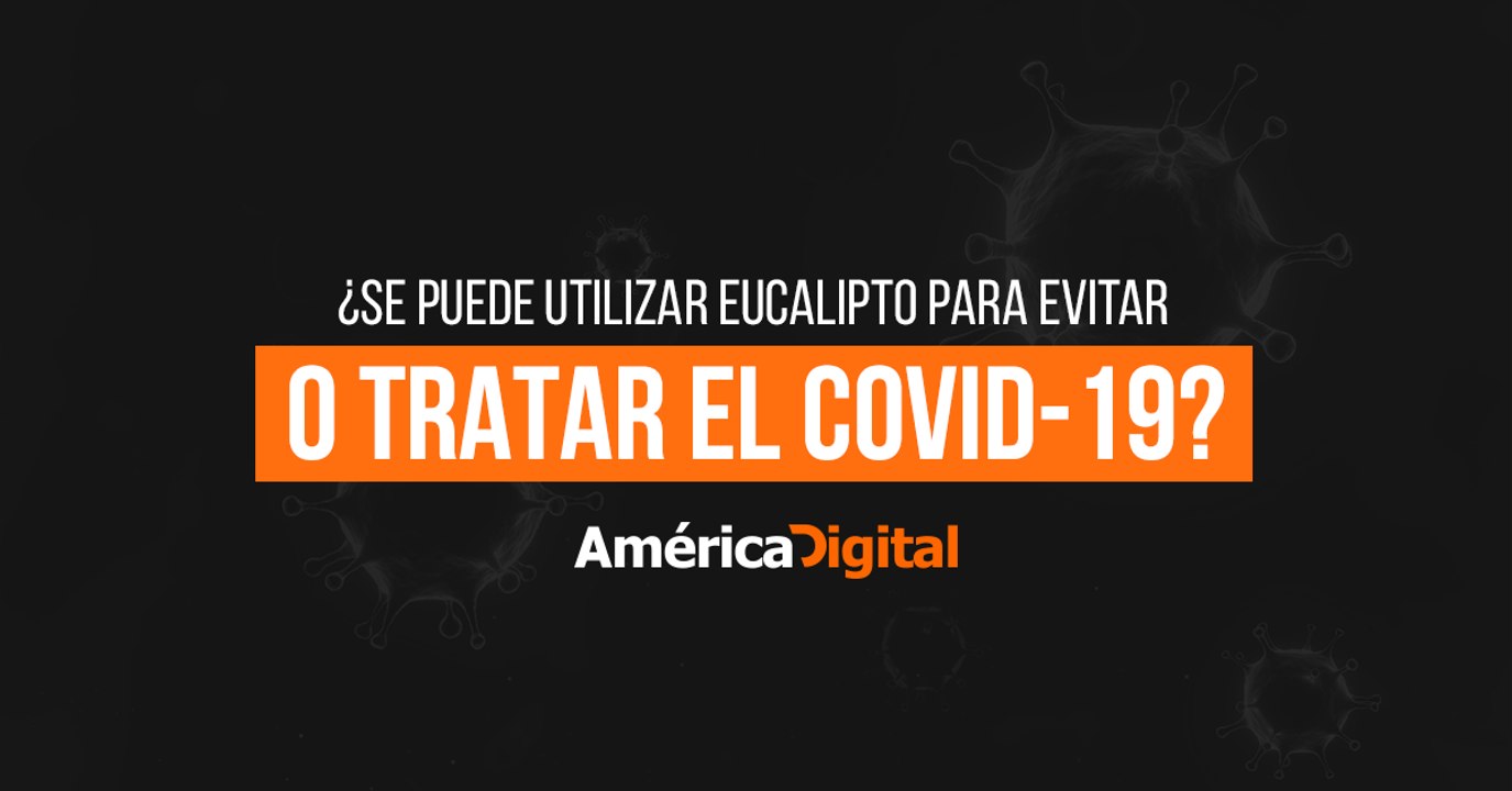 ¿Se puede utilizar eucalipto para evitar o tratar el COVID-19?