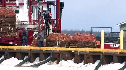 Topo, saison de pêche, crabe, 4 7 2020