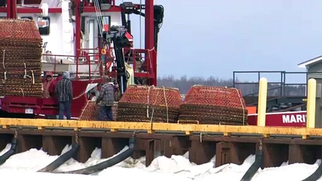 Topo, saison de pêche, crabe, 4 7 2020
