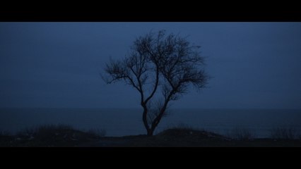 MJ Cole - Solo Waltzer