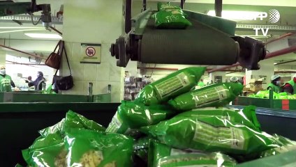 Virus pandemic deals heavy blow to Egypt's working poor