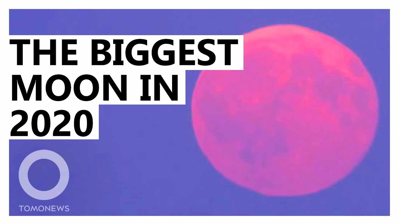 The biggest and brightest moon of 2020: The Pink Supermoon