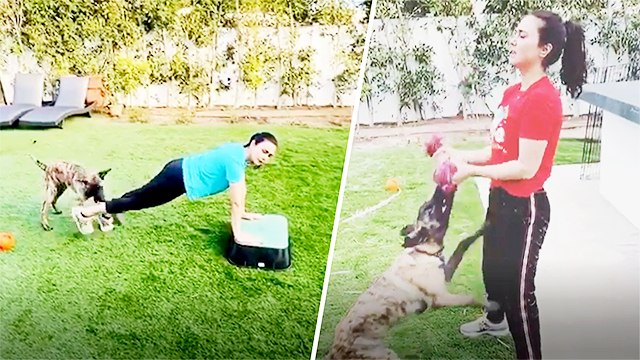 Preity Zinta's WORKOUT With Her Dog