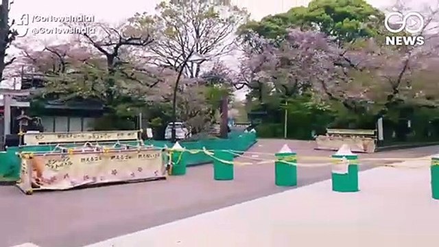 जापान में एक महीने के लिए इमरजेंसी लागू, पीएम शिंज़ो आबे का ऐलान