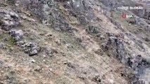 Dağ keçisinin 'drone' sınavı