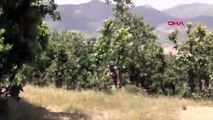 Diyarbakır'da orman işçilerini taşıyan araca PKK'dan saldırı
