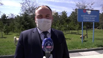 Gölbaşı'nda karantina bölgesinden alınan sokak hayvanları yuvalarına kavuştu