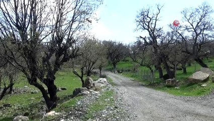 Teröristler sivillere saldırdı: 5 şehit