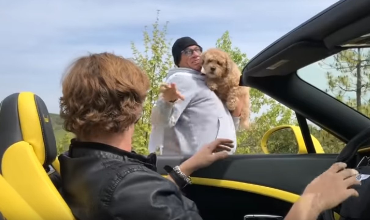 Jean-Claude Van Damme : superhero for dogs - JCVD Canine Hero