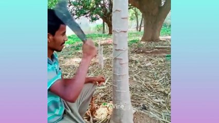 Oddly Satisfying Video that Relaxes You Before Sleep ▶81