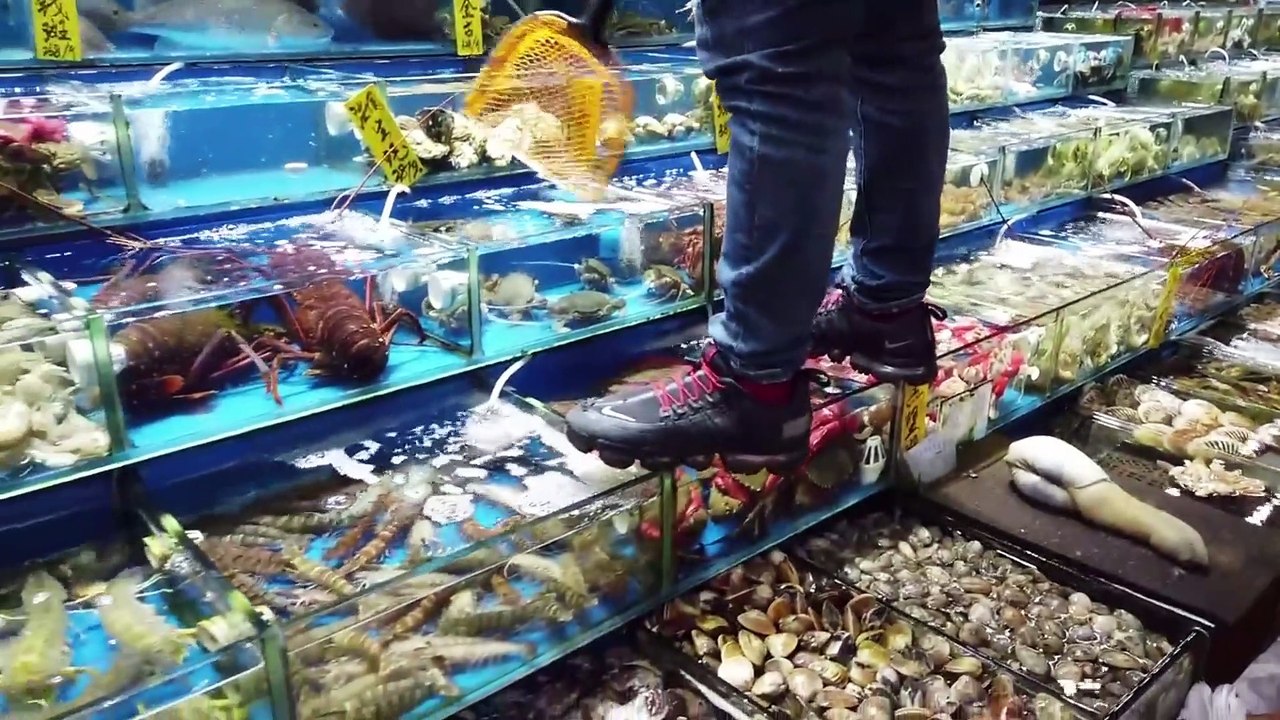 Fresh meat from bears to snakes is sold in the Chinese market from which Coronavirus spread around the world